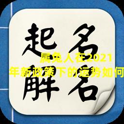  属兔人在2021年新政策下的运势如何